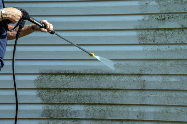 Best Sidewalk and Walkway Cleaning  in Lake Dalecarlia, IN